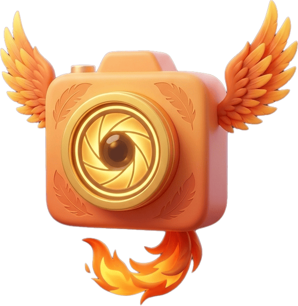 Camera access icon